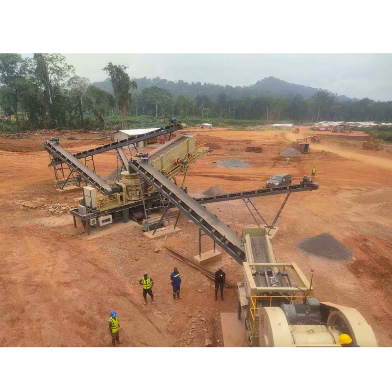Peru Gold Ore Processing Circuit
